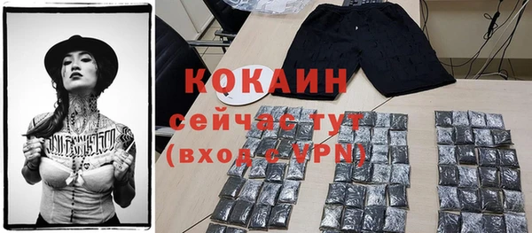 МДПВ Навашино
